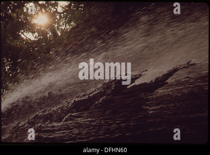 Gorman Falls ist ein natürlicher Quellbach, der in den Colorado River mündet und sich in einer malerischen Gegend befindet, die für ihr sauberes, klares Wasser und die malerische Umgebung bekannt ist. Stockfoto