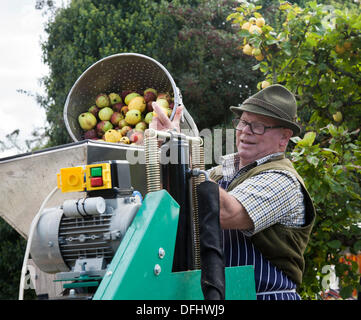 Arnside, Silverdale, UK. 5. Oktober, 2013. Herr Edi Albert drücken Äpfel mit einem Curbl Obst drücken Sie auf Arnside des Fünften AONB Apple Tag an briery Bank Obstgarten, Arnside. Viele Äpfel und Kürbisse zum Verkauf, Tierwelt zeigt, apple id-Experten rätseln über seltene Sorten und viel frisch gepressten Saft - der Apple drücken Sie den ganzen Tag hart gearbeitet, um den Durst der fast 1000 Besucher zu befriedigen. Stockfoto