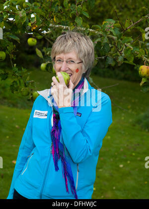 Arnside, Silverdale, UK. 5. Oktober, 2013. Frau Barbara Henneberry Kommunikation und Finanzierung Officer bei Arnside des Fünften AONB Apple Tag an briery Bank Obstgarten, Arnside essen einen Apfel. . Viele Äpfel auf Verkauf, Tierwelt zeigt, apple id-Experten rätseln über seltene Sorten und viel frisch gepressten Saft - der Apple drücken Sie den ganzen Tag hart gearbeitet, um den Durst der fast 1000 Besucher zu befriedigen. Stockfoto