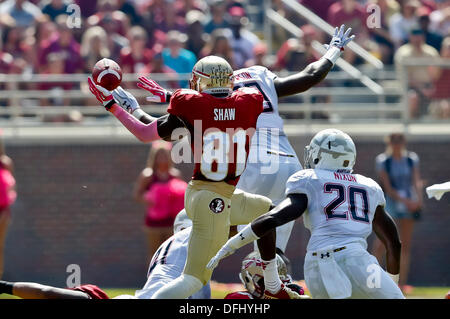 5. Oktober 2013: Florida State Seminolen Wide Receiver Kenny Shaw (81) steigt für ein Pass, der zwischen der Maryland Terrapins und der Florida State Seminolen Doak S. Campbell Stadium unvollständig im Spiel fiel. Stockfoto