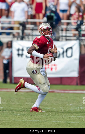 5. Oktober 2013: Florida State Seminolen quarterback Jameis Winston (5) klettert aus der Tasche in der zweiten Hälfte des Spiels zwischen Maryland Terrapins und der Florida State Seminolen Doak S. Campbell Stadium. Stockfoto