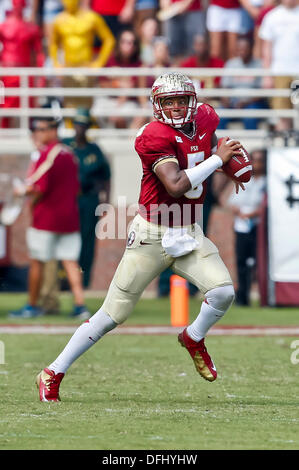 5. Oktober 2013: Florida State Seminolen quarterback Jameis Winston (5) klettert aus der Tasche in der zweiten Hälfte des Spiels zwischen Maryland Terrapins und der Florida State Seminolen Doak S. Campbell Stadium. Stockfoto