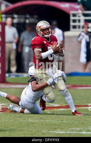 5. Oktober 2013: Florida State Seminolen quarterback Jameis Winston (5) klettert aus der Tasche in der zweiten Hälfte des Spiels zwischen Maryland Terrapins und der Florida State Seminolen Doak S. Campbell Stadium. Stockfoto