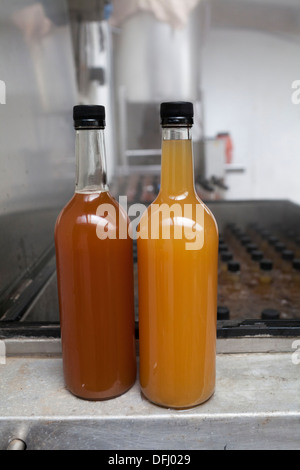 Frisch gepressten Bio-Apfelsaft. Die Flasche auf der rechten Seite ist pasteurisiert. Stockfoto