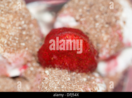 Erdbeeren mit Eis Stockfoto