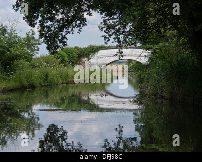 Bradley-Wiese-Brücke über den Trent und Mersey Kanal Stockfoto