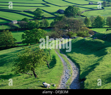 Sommer-Blick über Arncliffe in Littondale in der Yorkshire Dales of England Stockfoto