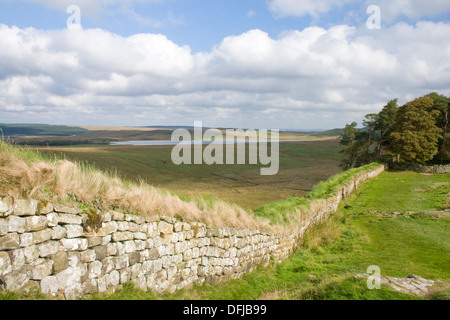 Der Hadrianswall bei Housesteads Northumberland Stockfoto