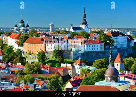 Skyline von Tallinn, Estland in der Altstadt. Stockfoto