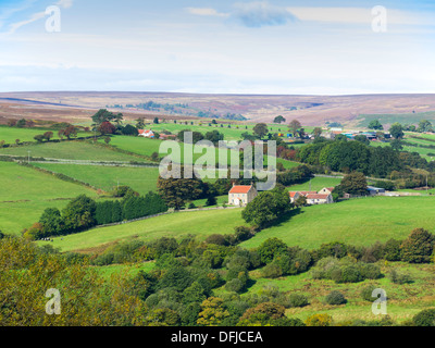 Eine Farm im Heidekraut bedeckten Hügeln am Castleton in North Yorkshire Moors Nationalpark UK Stockfoto