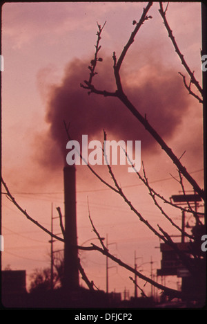 KAISER ALUMINIUMWERK SCHORNSTEIN MIT ANGEHENDEN BAUM IM VORDERGRUND 546042 Stockfoto