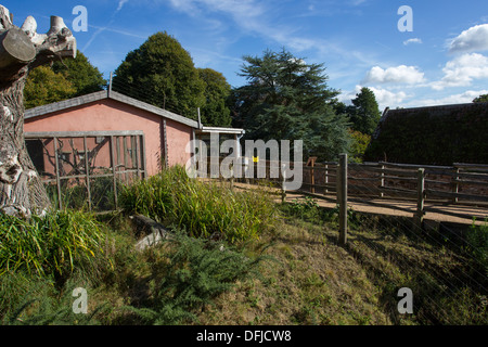 Durrell Wildlife Conservation Trust Stockfoto