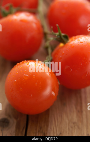 Frisch gewaschene Kirschtomaten auf der Rebe Stockfoto