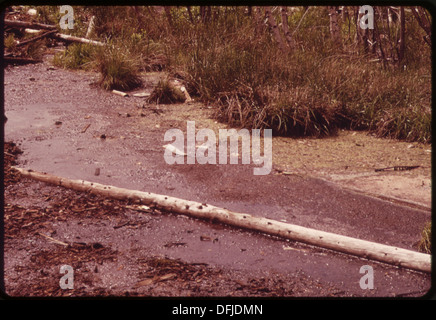 LEACHINGS AUS GEORGIA PACIFIC PAPIERFABRIK ABFALL RINDE UND CHEMIKALIEN VERSCHMUTZEN EIN NEBENFLUSS DES ST. CROIX RIVER 550345 Stockfoto