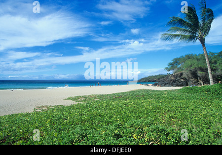 Hapuna Beach State Park verfügt über eine erstklassige Strände Amerikas, Kona-Küste, Insel Hawaii, Hawaii, USA. Stockfoto