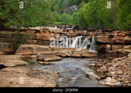 Wain Wath fällt im Frühjahr in der Nähe von Keld in der Yorkshire Dales of England Stockfoto