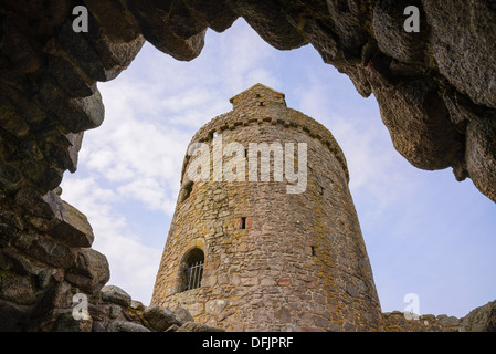 Orchardton Tower, in der Nähe von Palnackie, Dumfries & Galloway, Schottland Stockfoto