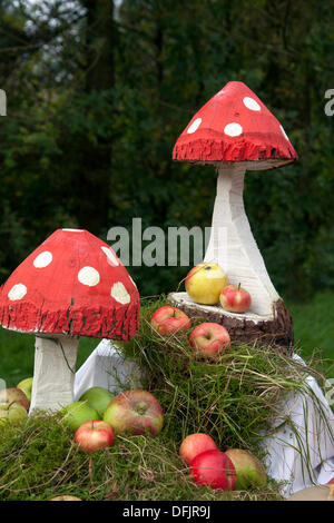 Die Firma Bowland fiel, Preston, UK 6. Oktober, 2013. Herby Sammler Reisen Tea Party an die Firma Bowland Besucherzentrum Apple Tag mit roten Fly agaric Pilze & Apple von den Freunden der Firma Bowland und Beacon fiel vorgestellt. Stockfoto