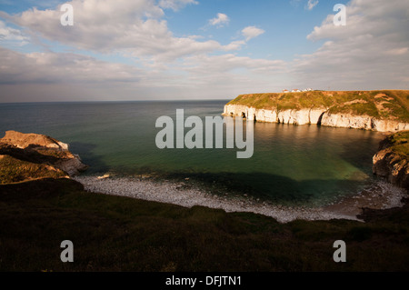 Thornwick Bay, in der Nähe von East Yorkshire Küste Dorf von Flamborough. Stockfoto