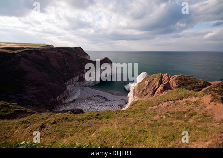 Thornwick Bay, in der Nähe von East Yorkshire Küste Dorf von Flamborough. Stockfoto