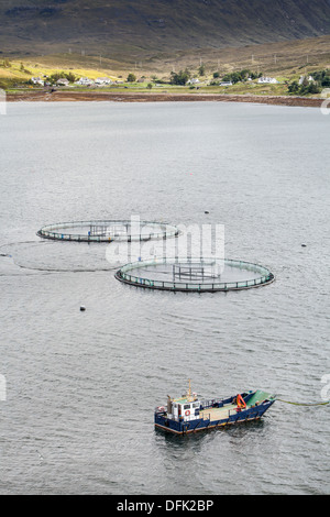 Lachsfarm am Loch Ainort in der Nähe von Moll auf der Isle Of Skye in Schottland. Stockfoto