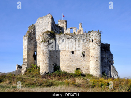 Ruinen der mittelalterlichen Burg in Mirow, Polen, erbaut im 14. Jahrhundert Stockfoto