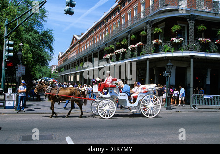 Schlitten-Touren sind ein beliebter Weg, das French Quarter, New Orleans, Louisiana, Vereinigte Staaten von Amerika zu besuchen Stockfoto