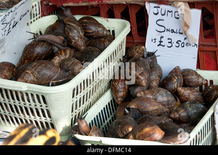 Hackney, London 2013. Ridley Straße Markt. Riesige afrikanische Schnecken zum Verkauf. Stockfoto