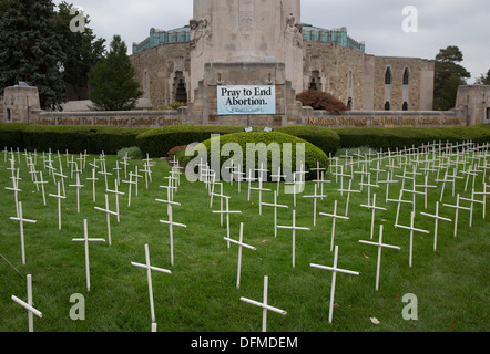 Kreuze auf dem Rasen des Nationalheiligtum der kleinen Blume katholischen Kirche gehören die Kirche Anti-Abtreibungskampagne. Stockfoto