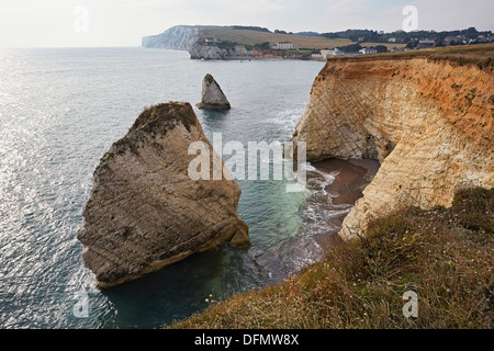 Isle Of Wight Freshwater Bay Klippen und Meer-Stacks in Richtung Tennyson Downs und die Nadeln Stockfoto