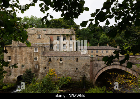 Aysgarth fällt Baumwollspinnerei auf dem Fluß Ure, North Yorkshire Dales. Stockfoto