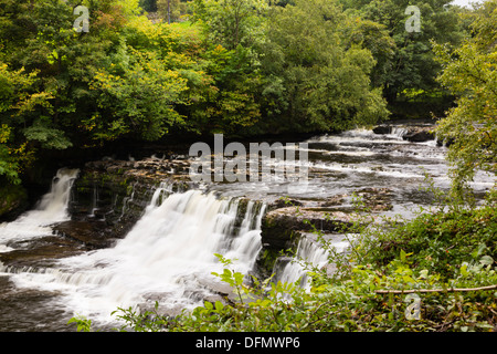 Aysgarth Mitte fällt auf den Fluß Ure, North Yorkshire Dales. Stockfoto