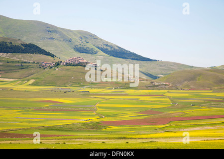 Landschaft, Castelluccio di Norcia, Umbrien, Italien, Europa Stockfoto