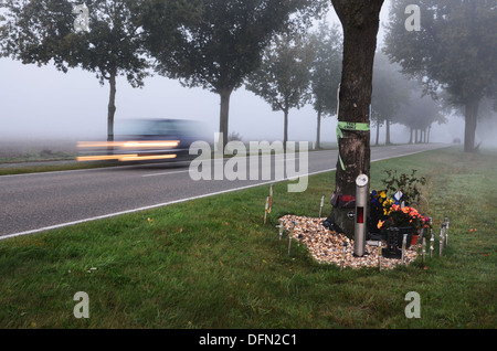 am Straßenrand Denkmal nach tödlichen Verkehrsunfalls Niederlande Stockfoto