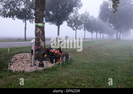 am Straßenrand Denkmal nach tödlichen Verkehrsunfalls Niederlande Stockfoto