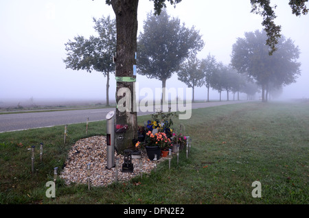 am Straßenrand Denkmal nach tödlichen Verkehrsunfalls Niederlande Stockfoto