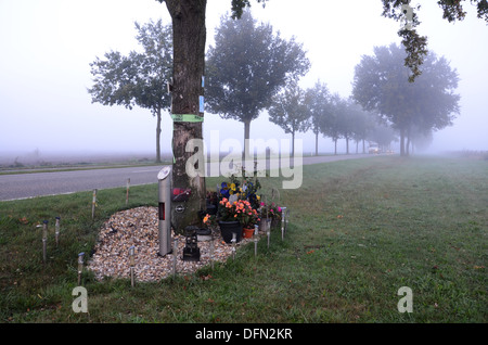 am Straßenrand Denkmal nach tödlichen Verkehrsunfalls Niederlande Stockfoto