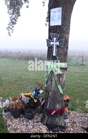 am Straßenrand Denkmal nach tödlichen Verkehrsunfalls Niederlande Stockfoto