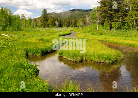 Gebogene Creek Formen Schleife und fließt durch grüne Wiese Stockfoto