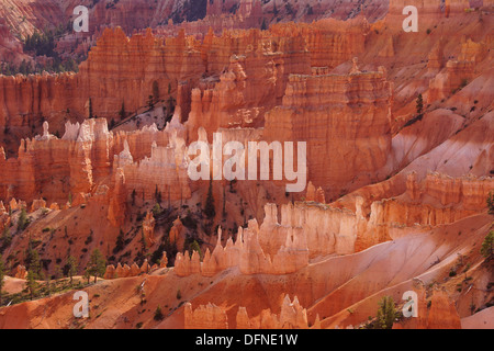 Empfindliche Sandstein Fialen in vielen Farben säumen den Canyon des Bryce Canyon National Park, Utah Stockfoto