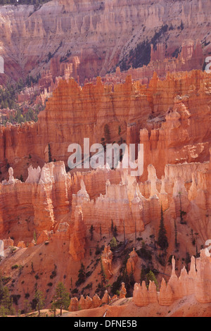 Empfindliche Sandstein Fialen in vielen Farben säumen den Canyon des Bryce Canyon National Park, Utah Stockfoto