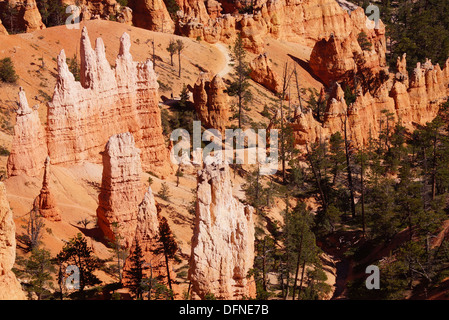 Empfindliche Sandstein Fialen in vielen Farben säumen den Canyon des Bryce Canyon National Park, Utah Stockfoto