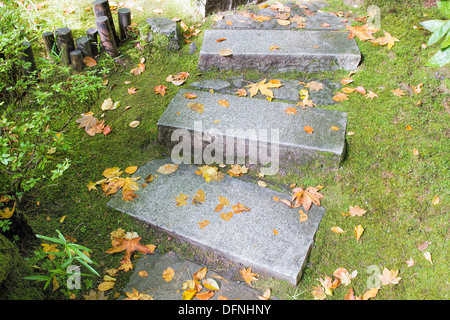 Asiatisch inspirierten Garten Granit Platten Steinstufen mit Moos und Blätter fallen Stockfoto