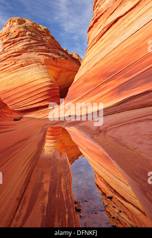 Rotem Sandstein im Wasser, The Wave, Coyote Buttes, Paria Canyon, Vermilion Cliffs National Monument, Arizona Southwest Stockfoto