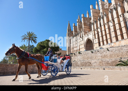 Pferdekutsche, Pferdewagen, Touristen, Kathedrale Sa Seu, Palma De Mallorca, Mallorca, Spanien Stockfoto