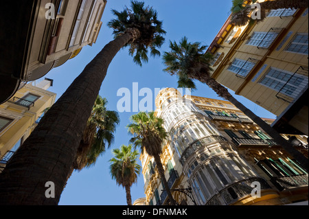 Niedrigen Winkel Blick auf Häuser und Palmen an der alten Stadt, Malaga, Andalusien, Spanien, Europa Stockfoto
