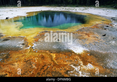 Elk265-1510 Wyoming, Yellowstone-Nationalpark, schwarzen Sand Basin, Emerald Pool Stockfoto