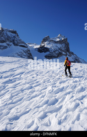 Frau Backcountry Skifahren, aufsteigend in Richtung Kleine Sulzfluh, Backcountry Skitour Sulzfluh, Rachen, Raetikon, Montafon, Vorarlbe Stockfoto