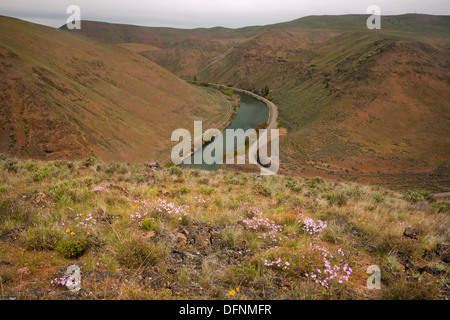 Übersehen Sie Washington - Aussicht Norden oben der Yakima River Canyon aus auf oben das Umtanum Creek Valley L.T. Murray Wildlife Recreation Area. Stockfoto