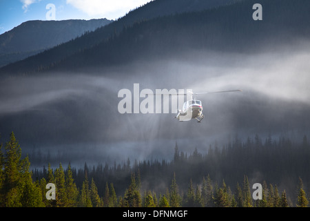 Randabsaugung aus einem Helikopter-Rotor spiegelt sich in frühen Morgennebel Stockfoto